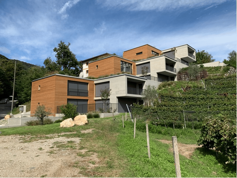 Eleganza, spazio e natura - affittasi 4.5 locali a Pura con vista vigneti e lago (3)