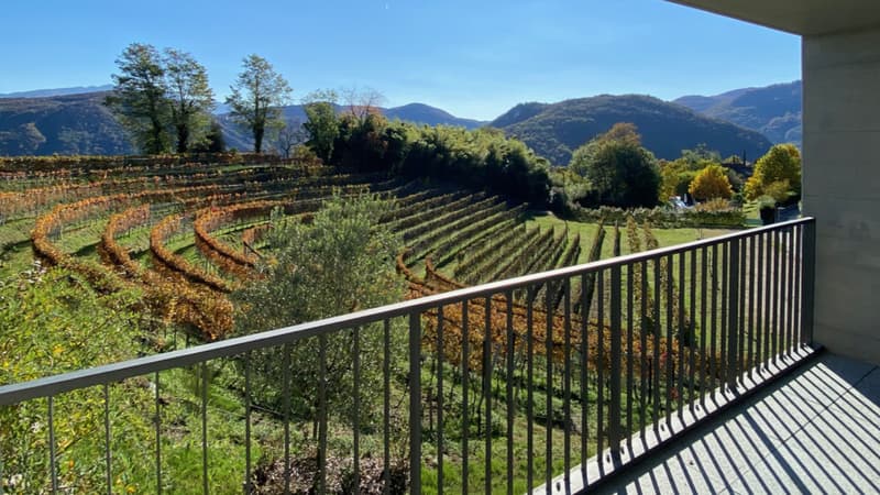 Eleganza, spazio e natura - affittasi 4.5 locali a Pura con vista vigneti e lago (8)