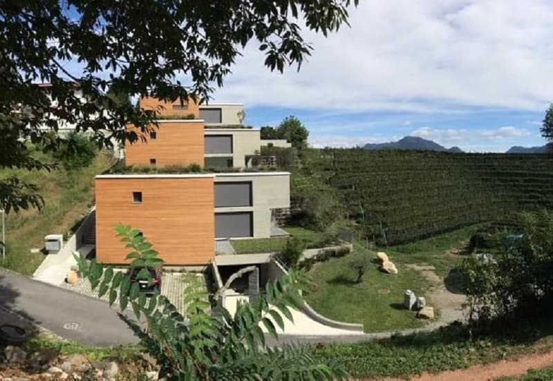 Eleganza, spazio e natura - affittasi 4.5 locali a Pura con vista vigneti e lago (2)