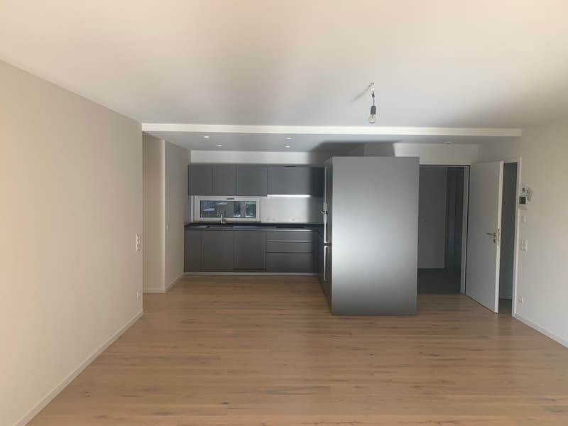Eleganza, spazio e natura - affittasi 4.5 locali a Pura con vista vigneti e lago (6)