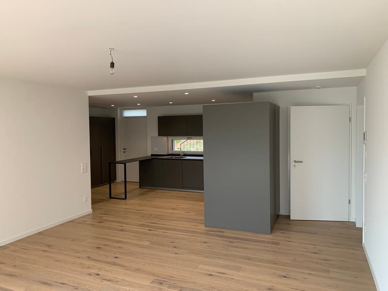 Eleganza, spazio e natura - affittasi 4.5 locali a Pura con vista vigneti e lago (5)