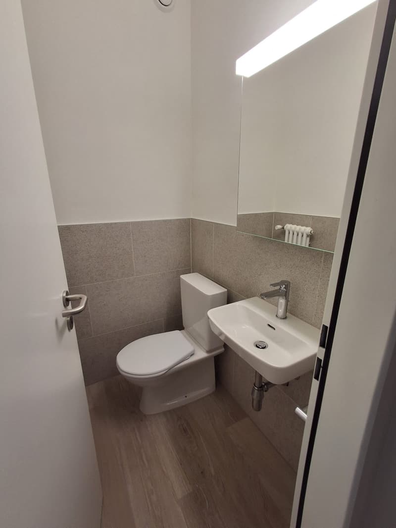 AFFITTASI 4.5 LOCALI ATTICO COMPLETAMENTE RISTRUTTURATO A LUGANO (14)
