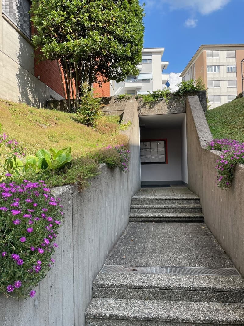 AFFITTASI 4.5 LOCALI ATTICO COMPLETAMENTE RISTRUTTURATO A LUGANO (4)
