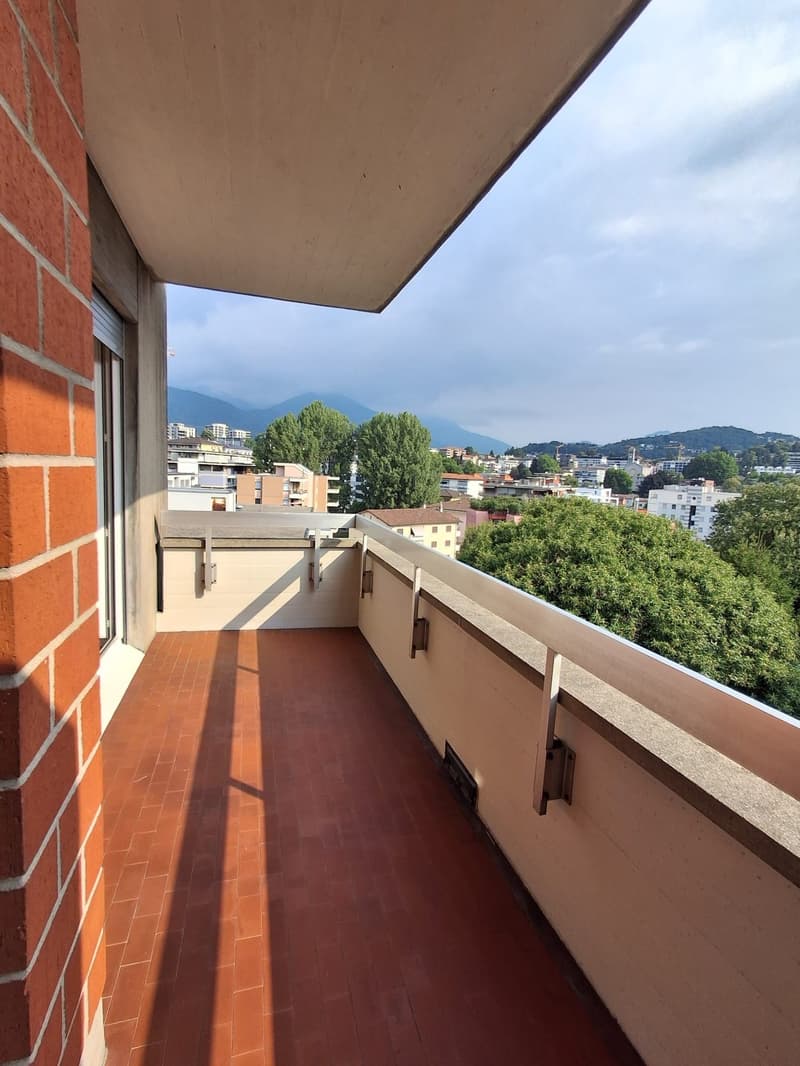 AFFITTASI 4.5 LOCALI ATTICO COMPLETAMENTE RISTRUTTURATO A LUGANO (18)