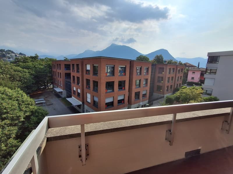 AFFITTASI 4.5 LOCALI ATTICO COMPLETAMENTE RISTRUTTURATO A LUGANO (19)