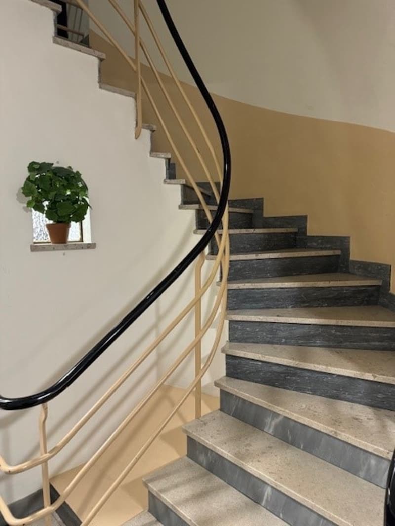 AFFITTASI 2 LOCALI A LUGANO - CASSARATE (3)