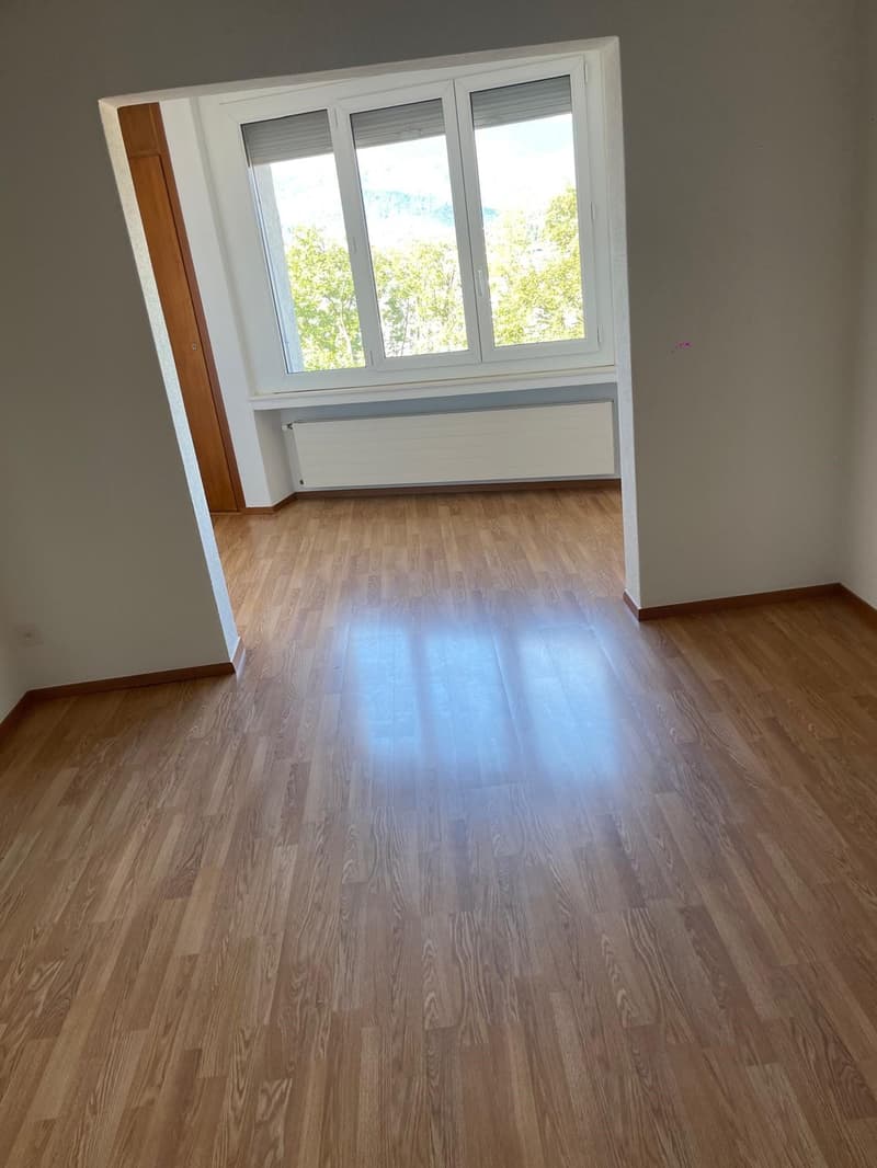 Appartamento di 3.5 locali con balcone e vista panoramica a Viganello (6)