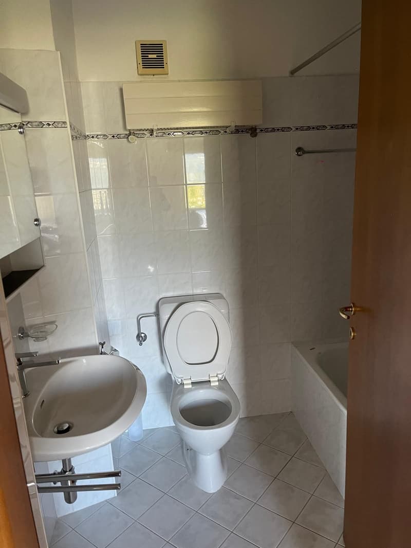 Appartamento di 3.5 locali con balcone e vista panoramica a Viganello (8)