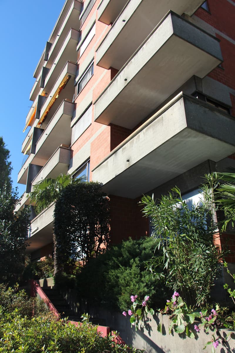 AFFITTASI SPAZI UFFICI DI CA. MQ 100 A LUGANO (2)