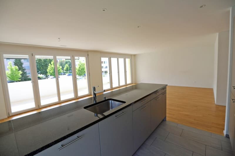 Appartement spacieux 4.5 pièces dans un quartier familial! (3)