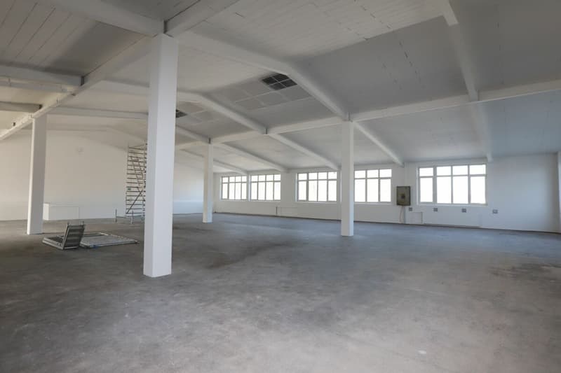 Commercial space / storage space in Aadorf (3)