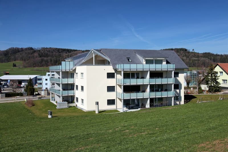 Moderne 4.5-Zimmer-Erdgeschosswohnung mit Aussicht ins Grüne! (12)