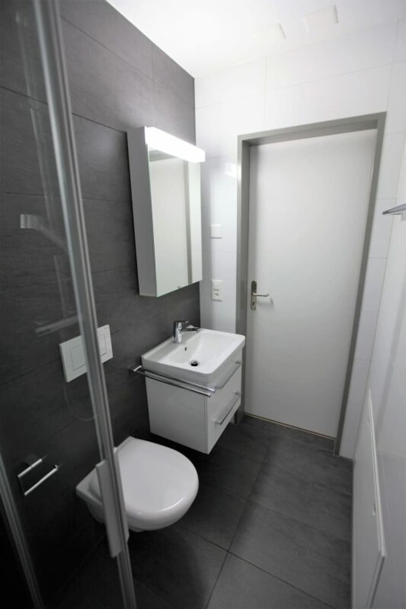 IMG 7428