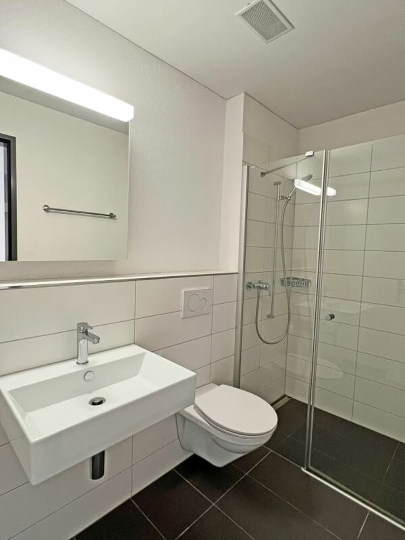 Moderne 3.5-Zimmerwohnung mit Balkon. (7)