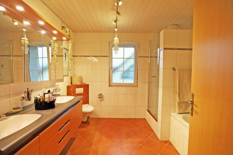 Stilvolles 5.5-Zimmer-EFH mit grosszügigem Fahrzeugabtsellangebot (13)