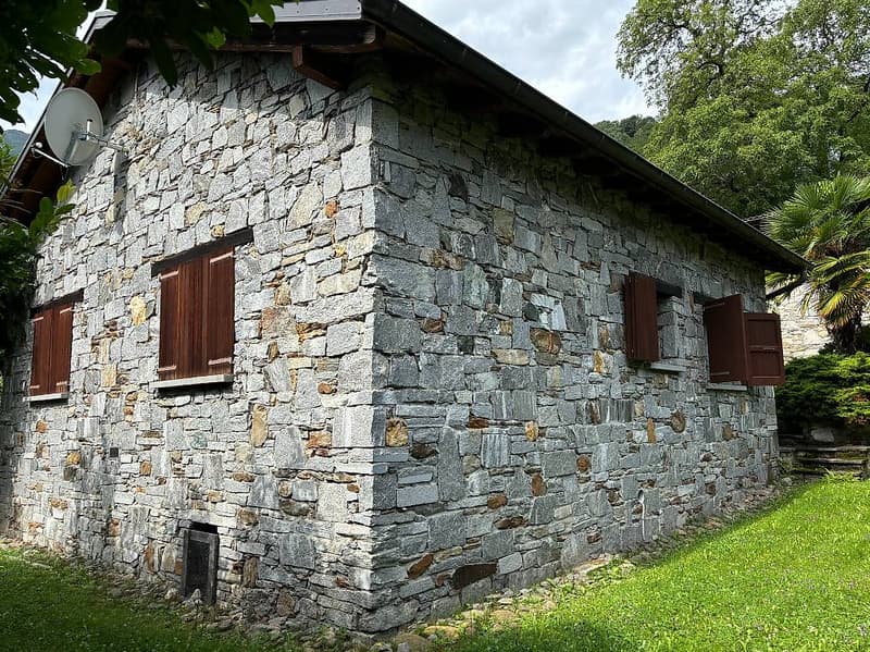 Stone house, 3 windows with brown shutters, satellite dish on the wall, green grass