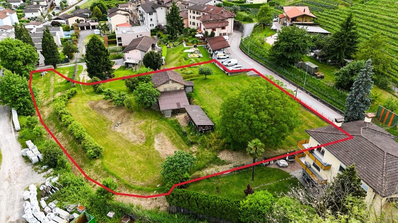 Plot of land with two buildings, multiple trees, green grass, road, surrounding houses, vineyard