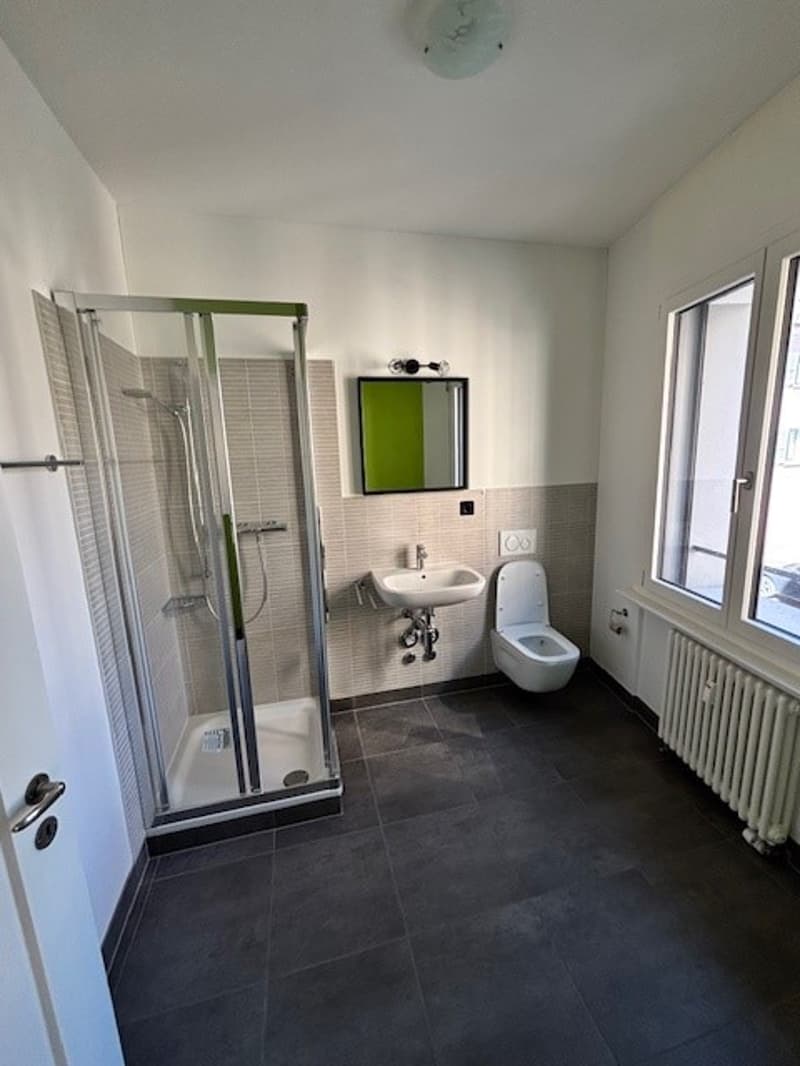 Bathroom with shower, toilet, sink, mirror, radiator, windows
