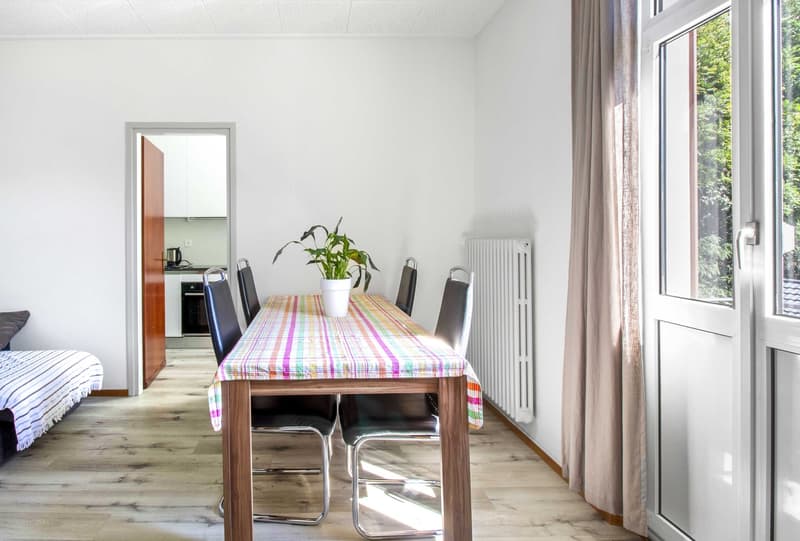 Dining area with a wooden table, four chairs, a potted plant, a radiator, and a window with a view of trees outside.