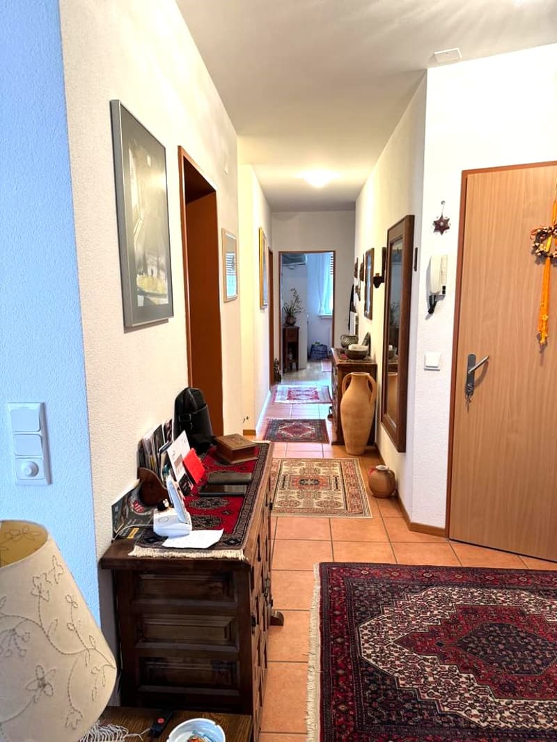 Piacevole appartamento 3.5 locali - Bellinzona (2)