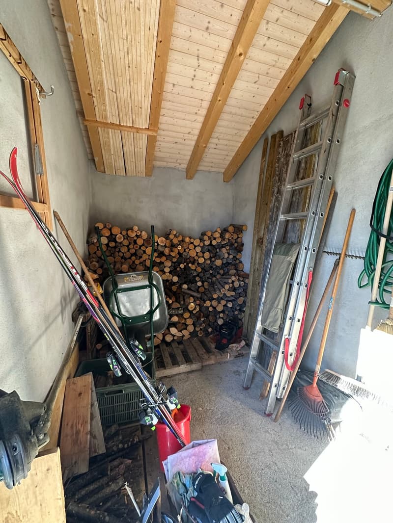 Chalet di 2 appartamenti 2.5 + 3.5 locali (12)