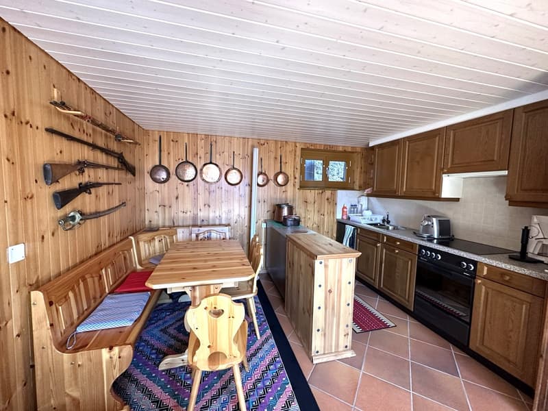 Chalet di 2 appartamenti 2.5 + 3.5 locali (4)