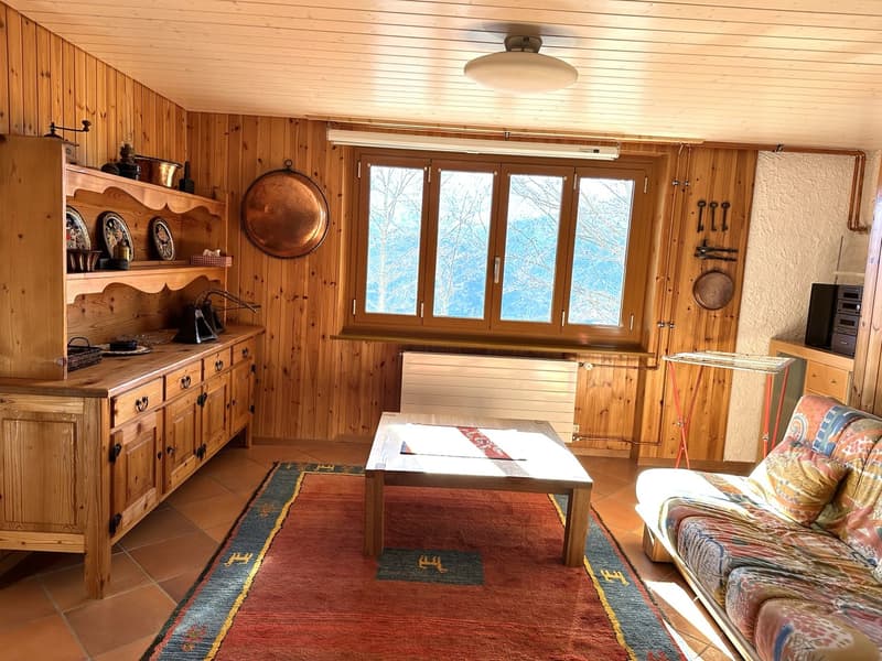 Chalet di 2 appartamenti 2.5 + 3.5 locali (5)