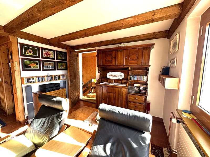 Chalet di 2 appartamenti 2.5 + 3.5 locali (8)