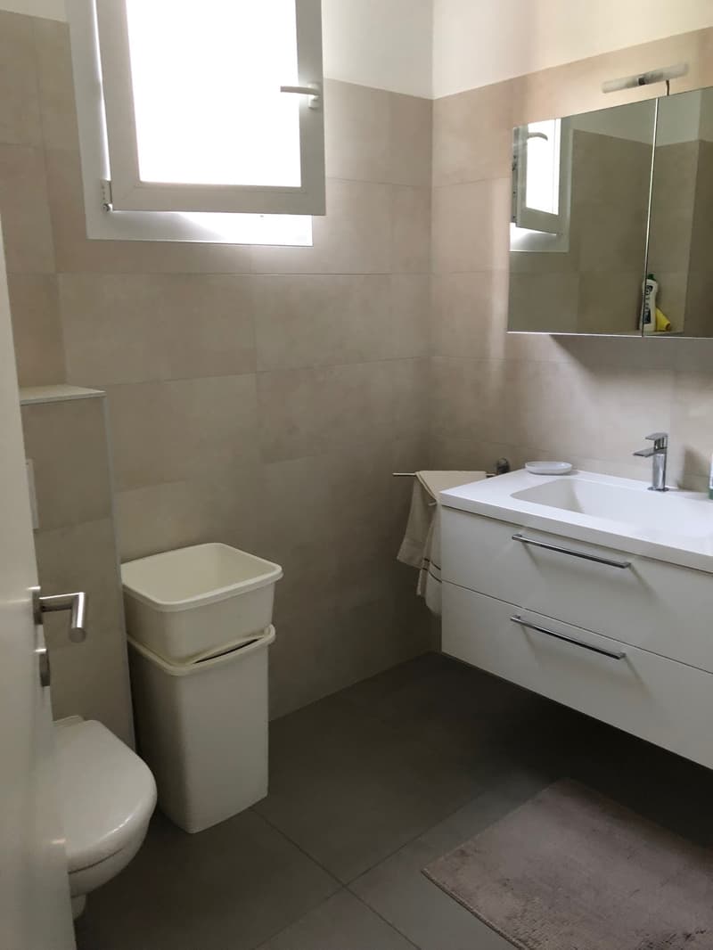 Spazioso 2.5 locali, box in autorimessa + posteggio esterno inclusi! (5)