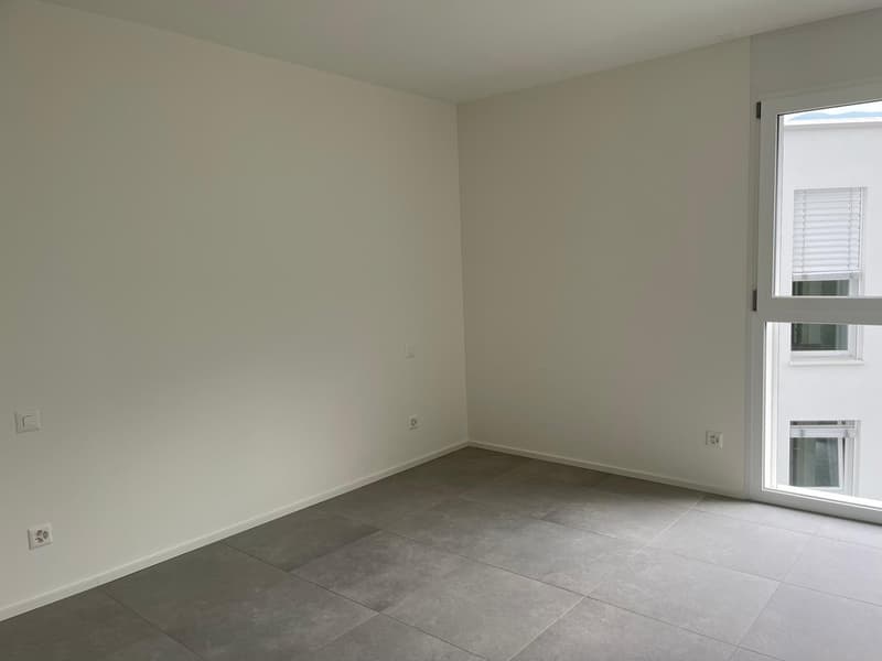 Luminoso 2.5 locali, ultimo piano! (8)