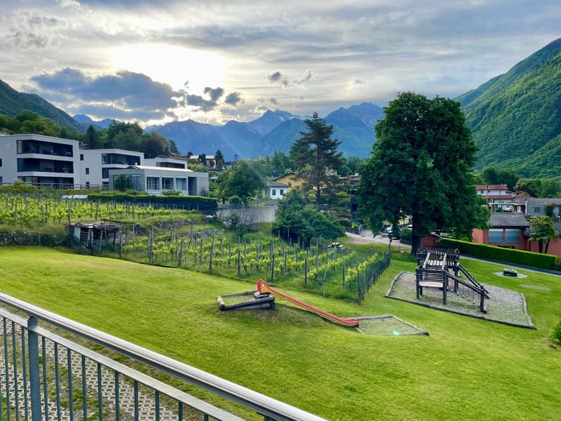 View of a green lawn with a slide and climbing structure for children, near a vineyard and mountains