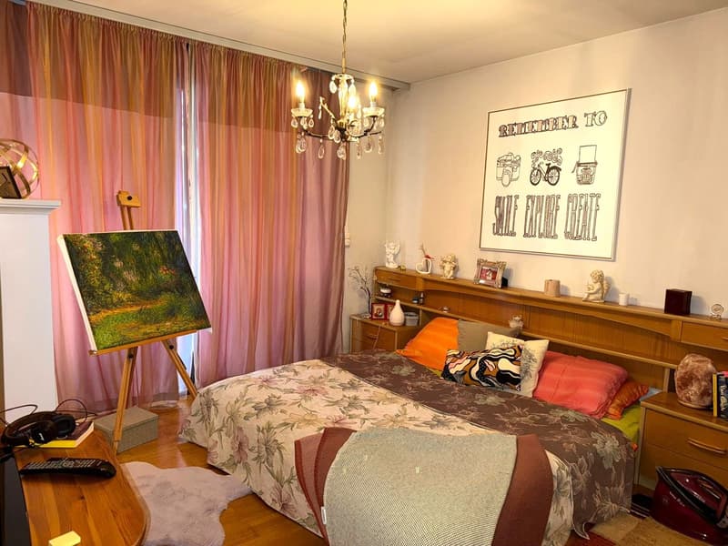 Appartamento 2.5 locali, ottima posizione (6)