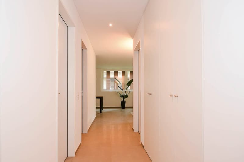 empty hallway, white walls, tiled floor, potted plant