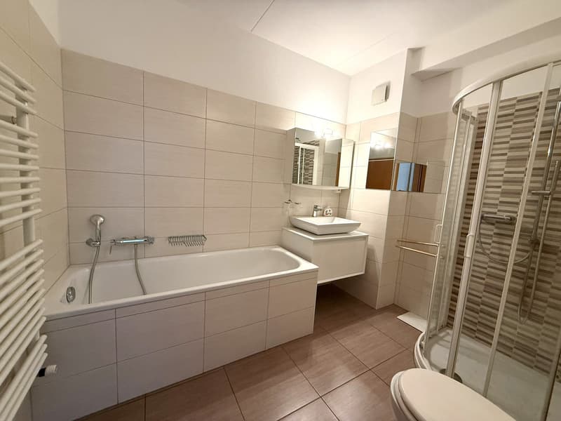 Spacious bathroom with tiled walls and floors, bathtub, sink, and shower enclosure. The bathroom also features a washing machine and a dishwasher.