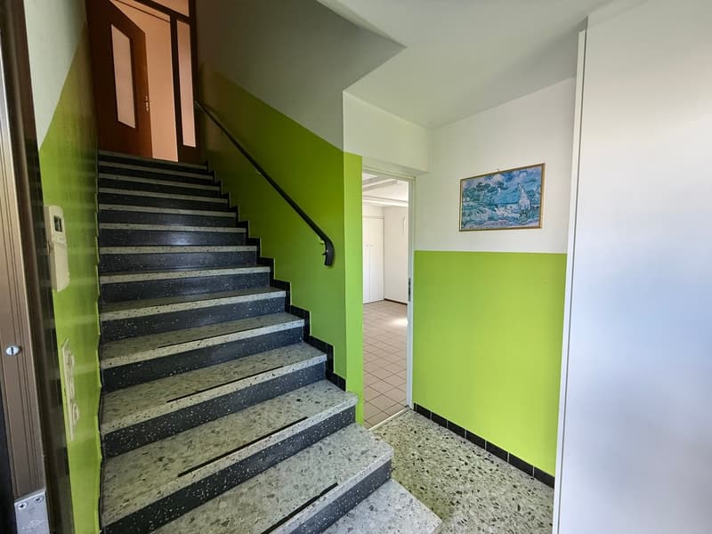 Casa bifamiliare 5.5 + 2.5 locali, zona pregiata, Giubiasco (15)
