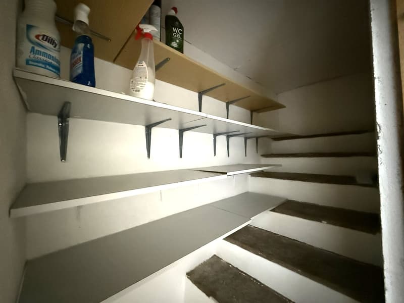 Casa bifamiliare 5.5 + 2.5 locali, zona pregiata, Giubiasco (14)