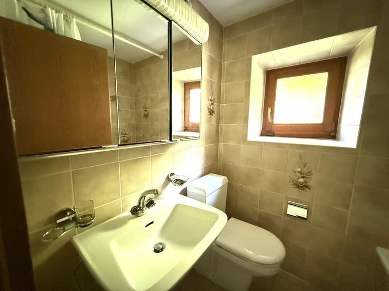 Casa bifamiliare 5.5 + 2.5 locali, zona pregiata, Giubiasco (11)