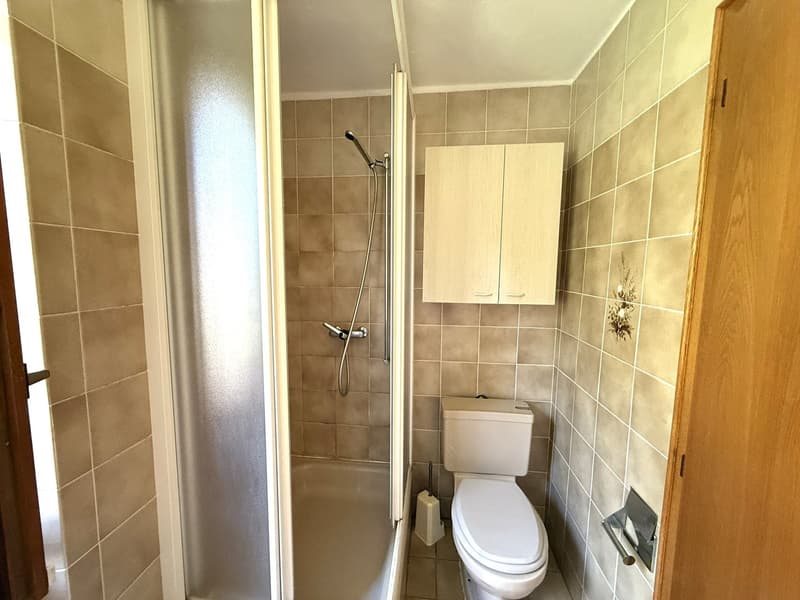 Tiled bathroom with shower, toilet, and a cabinet above the toilet