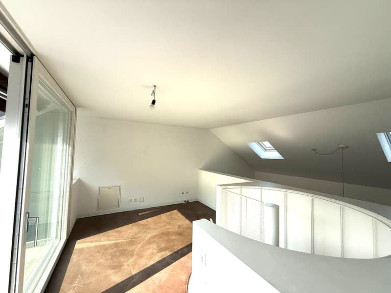 open layout, glass doors, white walls, concrete floor, skylights
