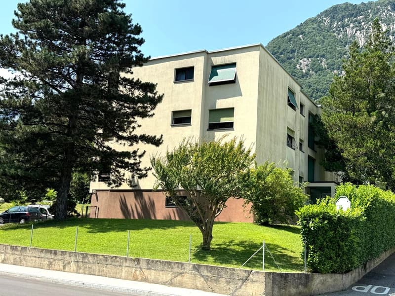 Building, multi-story, beige walls, windows with green shutters, surrounded by green lawn, trees, bushes, mountain in background, cars parked nearby