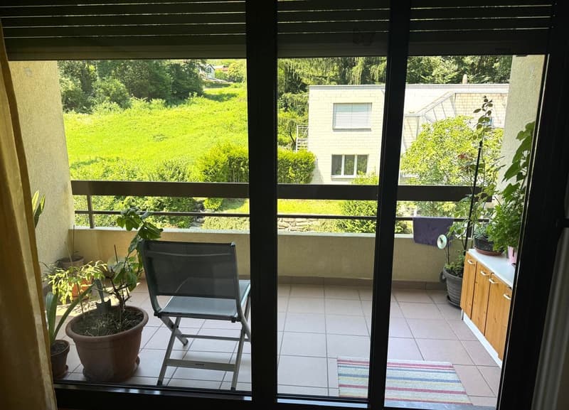 large balcony with chair, potted plants, rug, sliding door, distant house