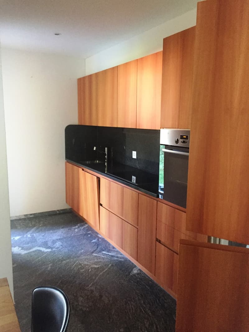 Arbedo, moderno 3.5 locali con ampio giardino (4)