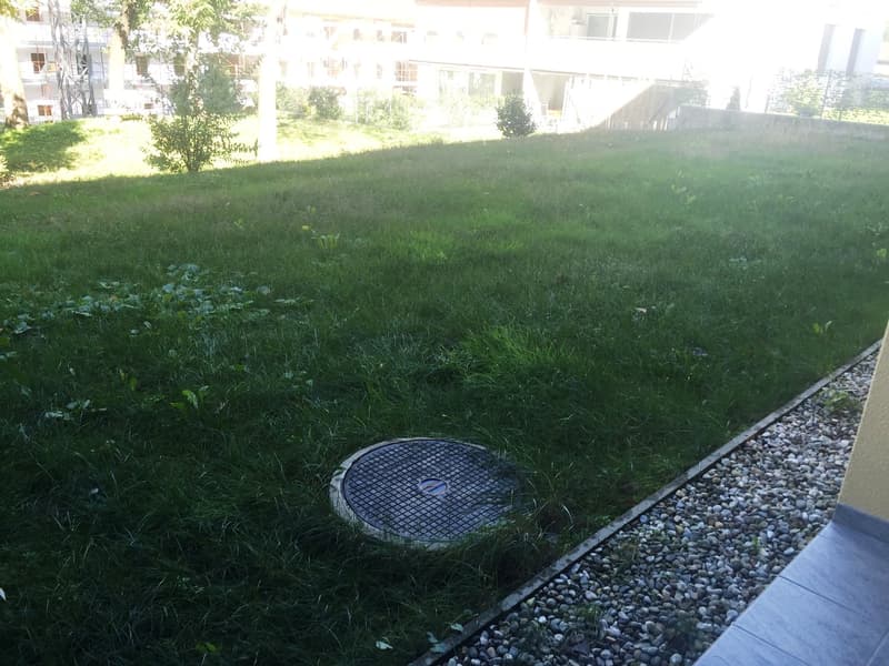 large grassy area with a round metal grate