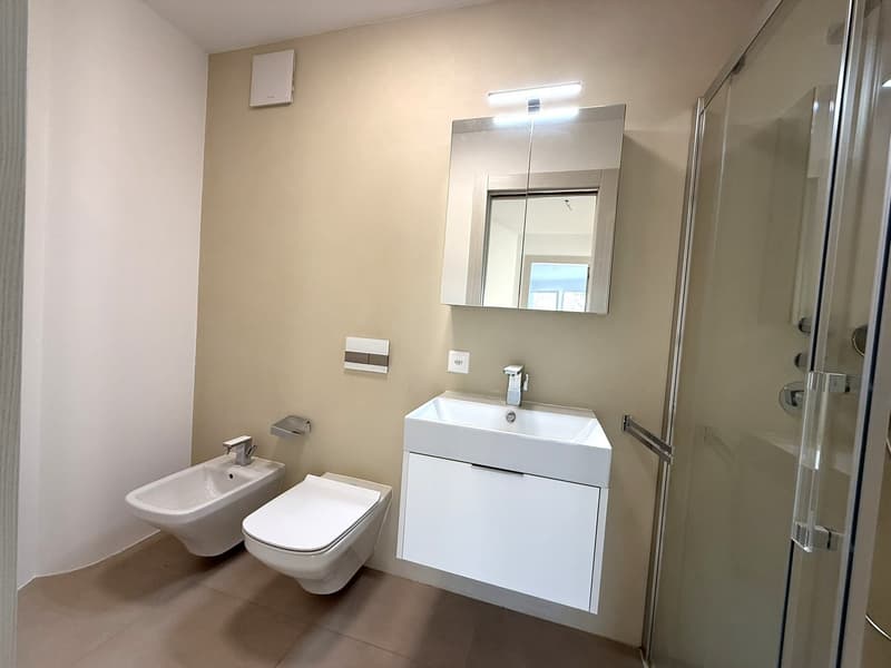 modern bathroom, white toilet, bidet, modern sink, mirror, shower enclosure