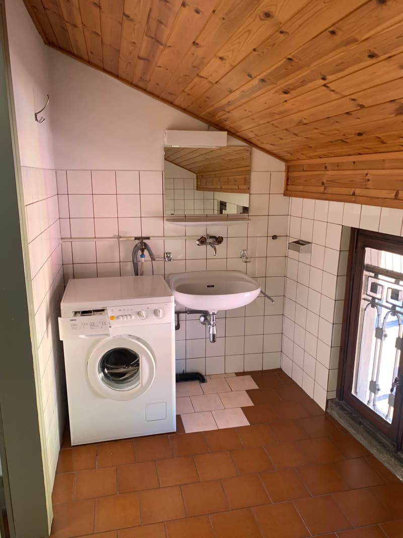 Small room with washing machine, sink, and wooden ceiling