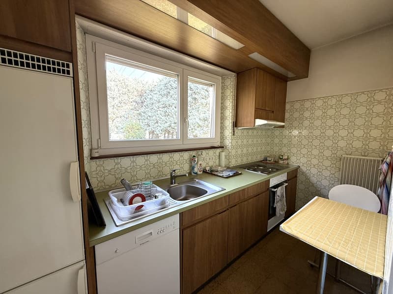 kitchen with window, cabinets, sink, dishwasher, fridge, stove
