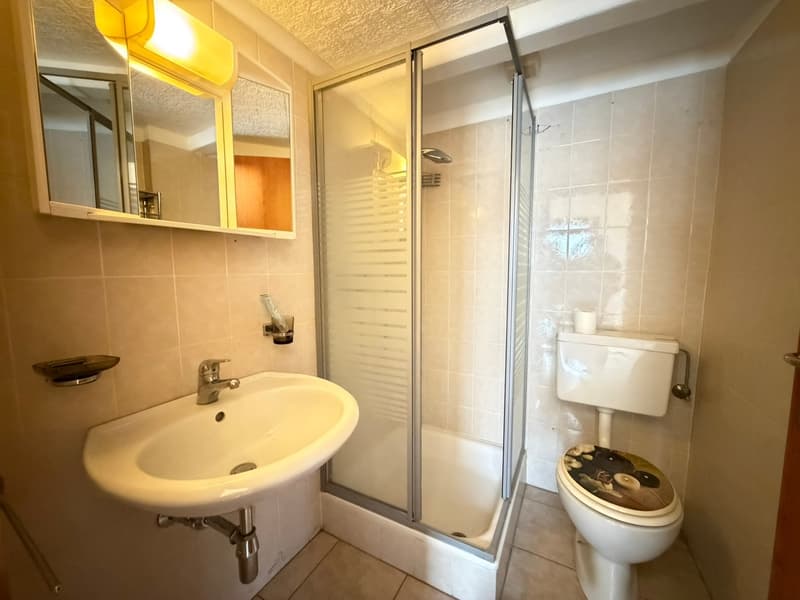 Bathroom with a sink, shower, and toilet.