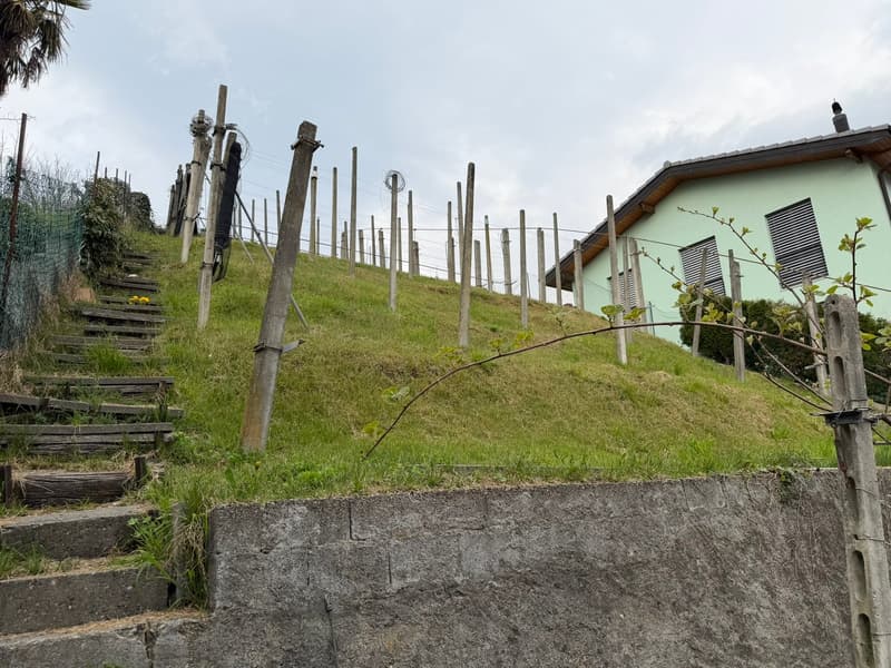 House on a hill, wooden fence, wooden stairs, green grass, concrete wall