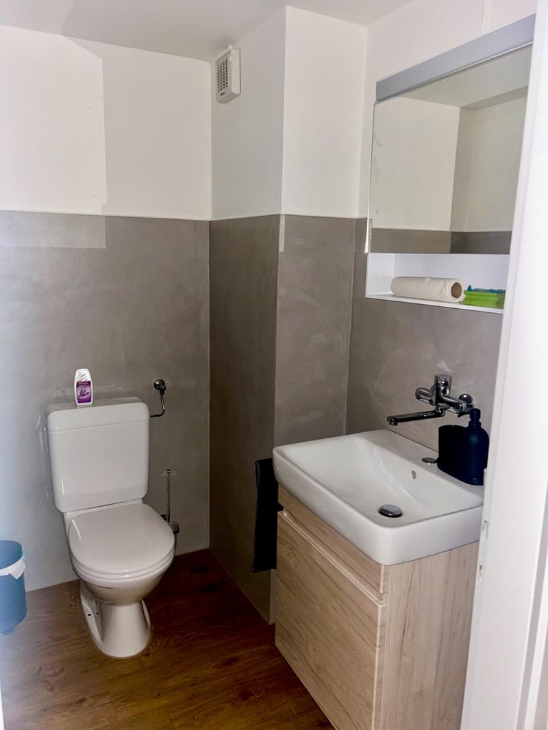 Bathroom with toilet, sink, and mirror, wooden floor, gray walls, white cabinet, and a trash bin
