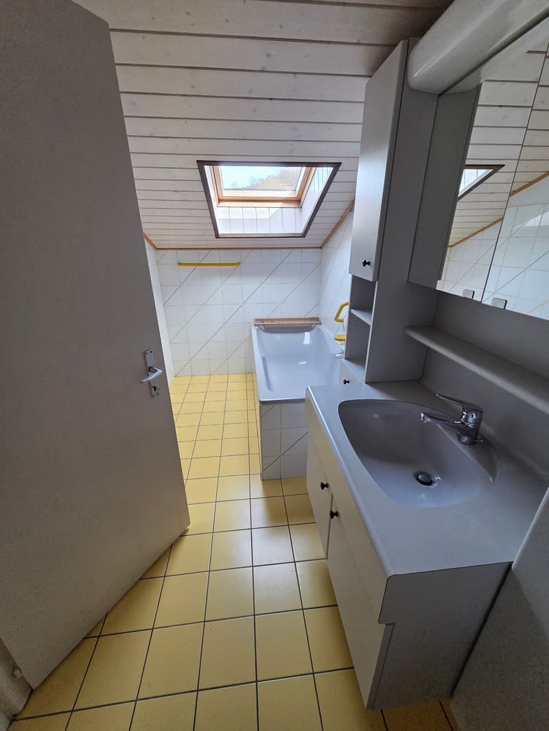Bathroom with bathtub, sink, mirror, and skylight